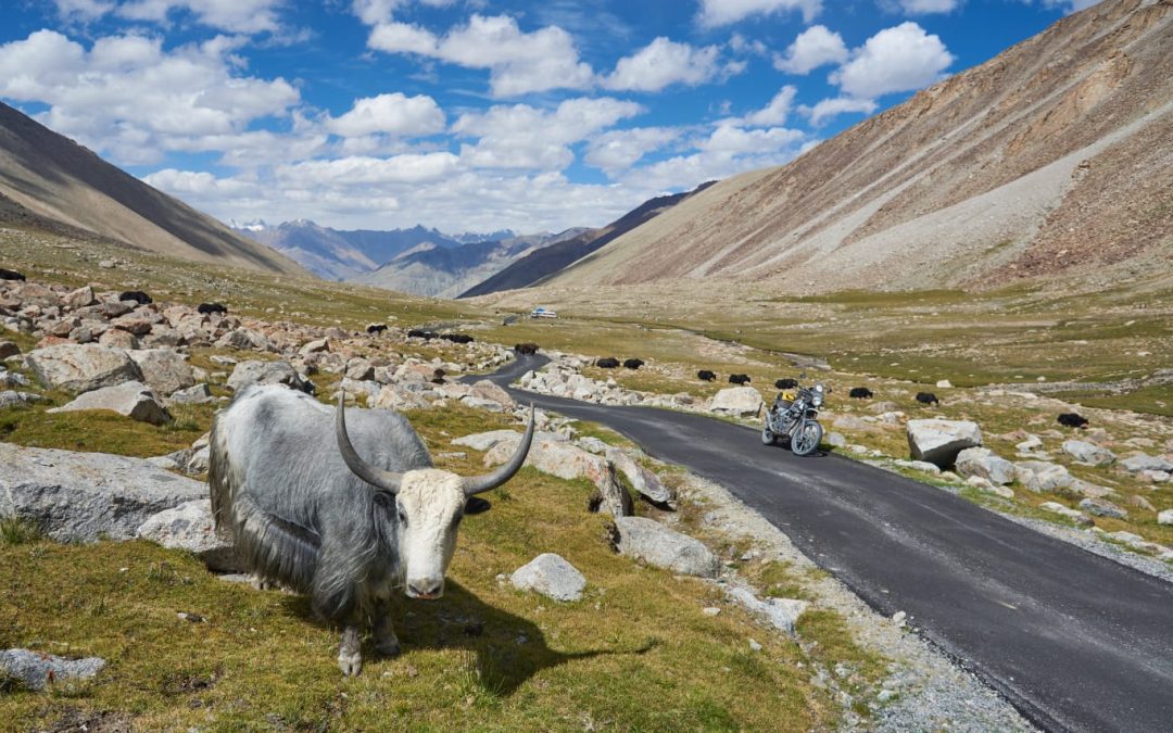 Ladakh 08/20 Agosto 2026