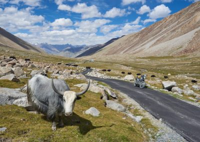 Ladakh 08/20 Agosto 2026