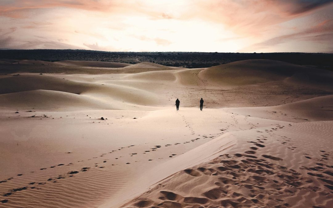 Rajasthan  08/20 Novembre 2026