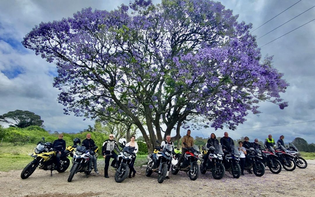 Sudafrica 23 Dicembre 2026/08 Gennaio 2027